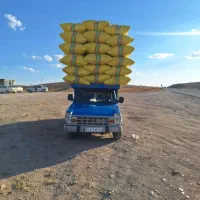 خرید و فروش کاه زنجان ومغان