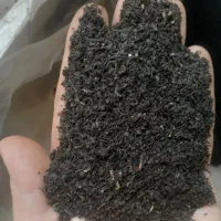 چای سیاه خارجی