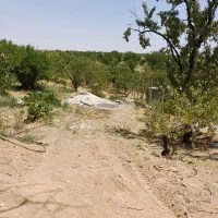 باغ-بادام-سامون-شوراب-صغیر