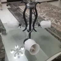 لوسترسه شاخه