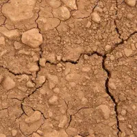 زمین  فروشی اباده شیراز