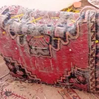 پالون اسب والاغ