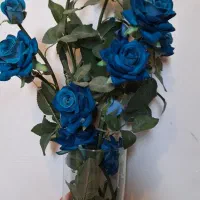 گل و گلدان نو