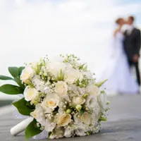 تشریفات تالار دی جی فیلم بردارآتیلیه آرایشگاه عروس|خدمات پذیرایی، مراسم|سبزوار, قائم|دیوار