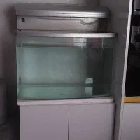 اکواریوم شرکتی