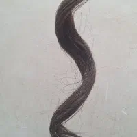 دم اسب