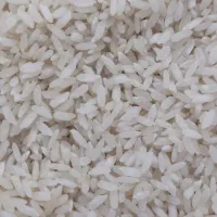 برنج لنجان درجه یک