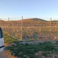 زمین برای باغی شهرک المهدی