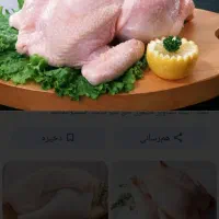 مرغ بسته ران سایز ران درشت بال پاچین