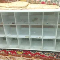 قفسه ام دی آف