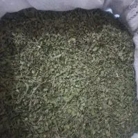 آویشن|خوردنی و آشامیدنی|لیکک, |دیوار