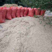 گندم آبی درشت