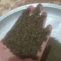 زیره کوهی