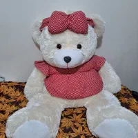عروسک‌های پولیشی