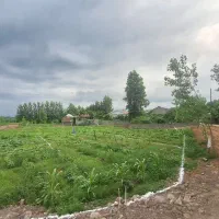 فروش۳۵۰متر/ زمین مسکونی/ بانامه بنیاد