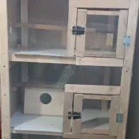 لانه پرنده و کبوتر