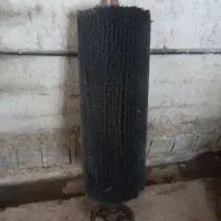 بروس قالیشویی