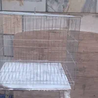 قفس پرنده