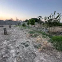 باغچه-خیابان-ثناجو-شهرکی