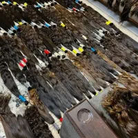 مرکز تخصصی خریدار اصلی مو