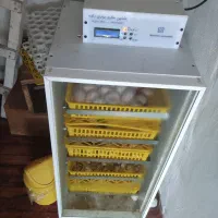 دستگاه جوجه کشی 210تایی