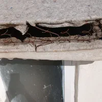 تخت یک نفره|سرویس روتختی|مشهد, حسینآباد|دیوار