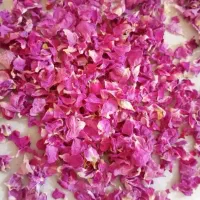 برگ گل محمدی تازه