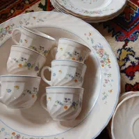 دیس گردبشقاب وفنجان نلبکی،ارکوپال ویکتوریا فرانسه