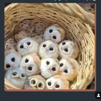 فروشنده خانم