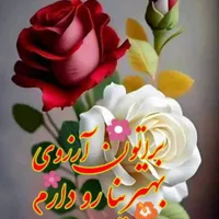 کیف مدارک گم شده بنام محمد باقر سیفی