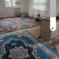 خونه آپاتمان|اجارهٔ آپارتمان|تهران, شوش|دیوار