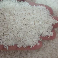 نیمدانه۲۰۰ سرلاشه ۲۳۰برنج طارم ۳۲۰ت