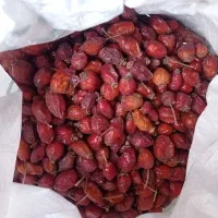 میوه گل نسترن ( گیلدیگ)