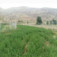 ۸۶۰ متری بر اصلی آسفالت تنگه واشی