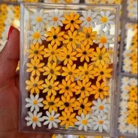 قند ونبات رنگی