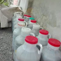 خیارشور تازه ترد