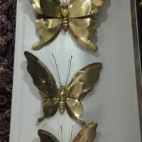 پروانه برنزی