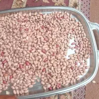 لوبیا چیتی درجه یک به شرت