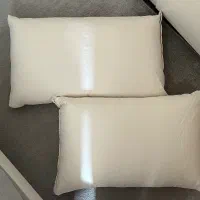 بالشت پر مرغ