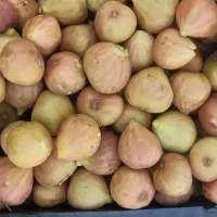 میوه