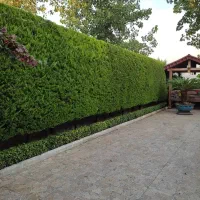 هرس سمپاشی گلکاری علف تراشی بریدن درخت کوددهی پالم