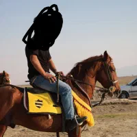 دوتا کره یکی نریون یکی مادیون