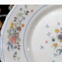 آرکوپال