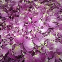 گل محمدی