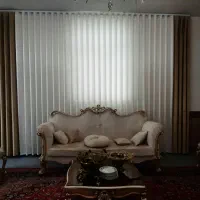 شاین پرداخت 8 ماهه