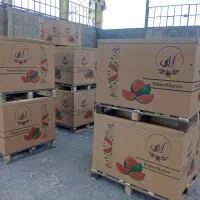 باکس پالت چوبی و کارتونی هندوانه