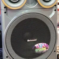 اسپیکر اکو دو میکروفون چمدانی میرند A120A