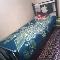۲ عدد تخت