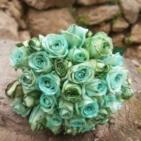 گل رز هلندی.باکس گل. و با قیمت استثنایی