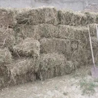 پرس یونجه